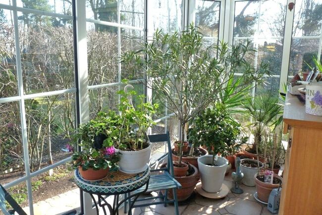 Windfang Haupteingang