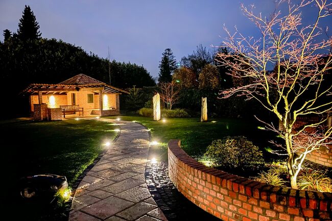 9239253_ Garten-Nacht