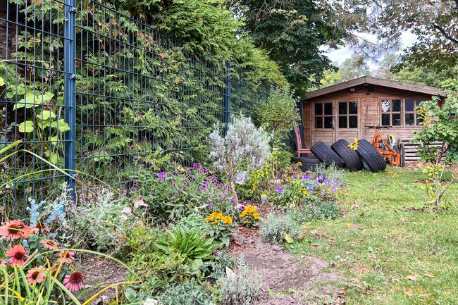 Beet Blick Schuppen 1