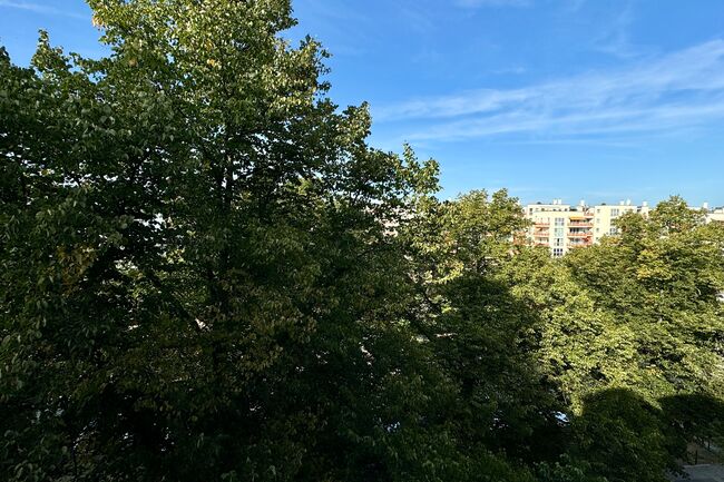 Ausblick Schlafzimmer