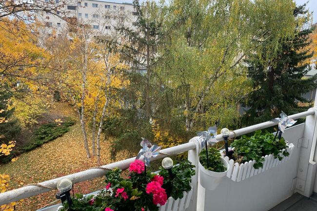 Balkonaussicht ins Grüne.jpg