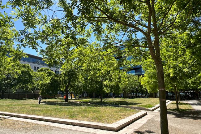 Neustädtische Kirchplatz