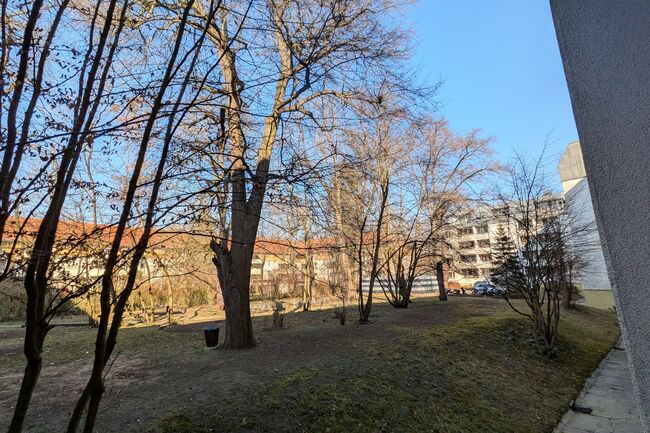 Blick auf den Garten 