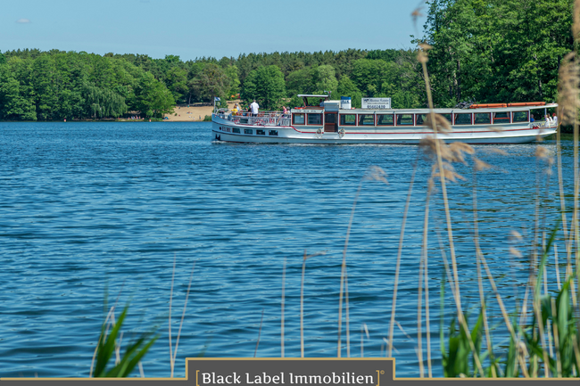 Ausblick zum Wasser - Werlsee